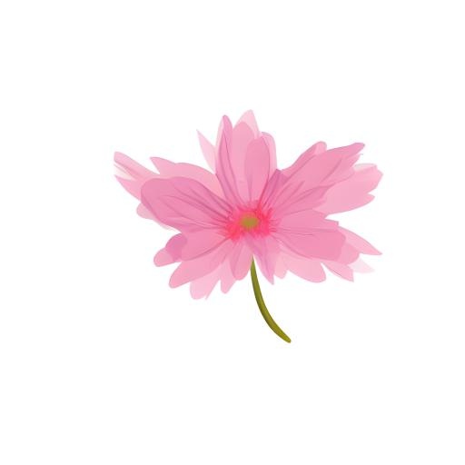 花免抠(2048x2048)