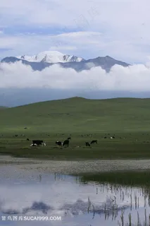 青海门源优美风景 青海门源优美风景