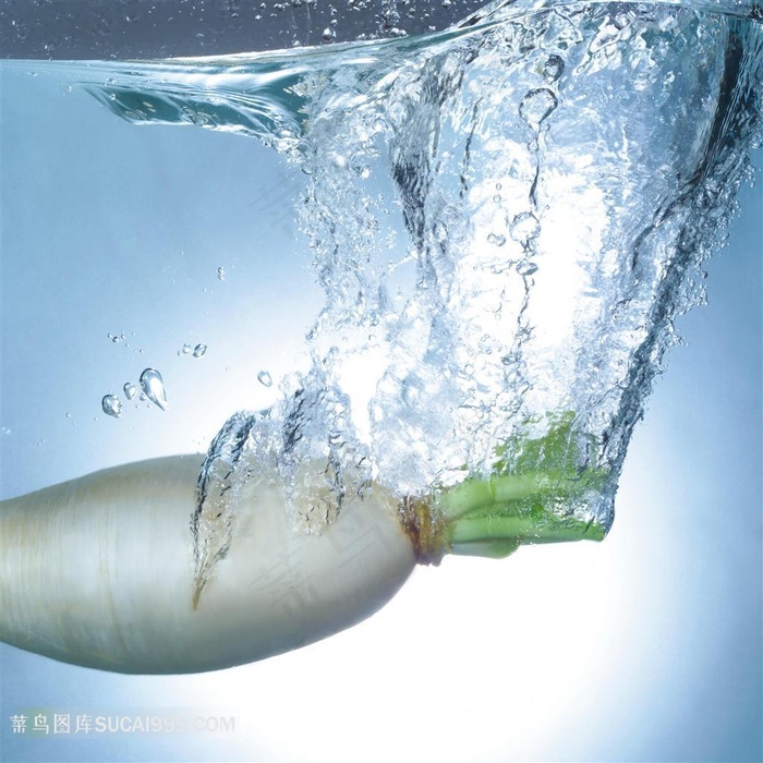 水中的萝卜高清图片素材