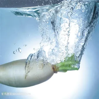 水中的萝卜高清图片素材