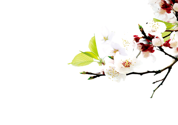 梅花古典元素传统