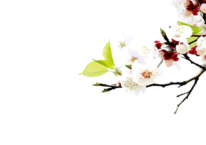 梅花古典元素传统