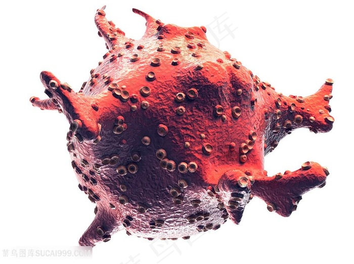 细菌病毒等微生物