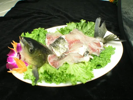 粤菜1470金石油淋生鱼片 粤菜1470金石油淋生鱼片