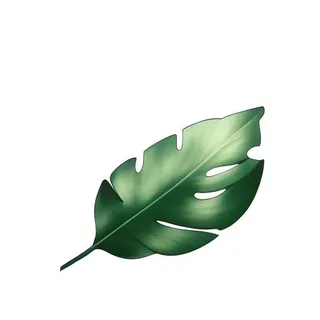 叶子树叶绿叶草丛免抠