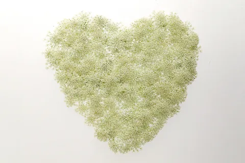 花团锦簇心型 花团锦簇心型