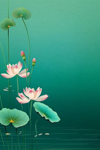 绿色高雅简约荷花国风背景