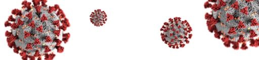 冠状病毒 PNG免抠(1920x450)