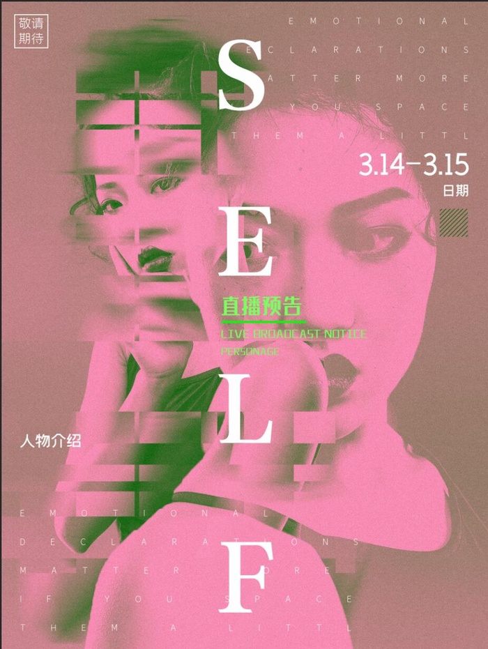 双色调艺术-人物介绍海报