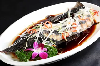 H00077清蒸中华鲟（鼓汁蒸，红烧） (2)