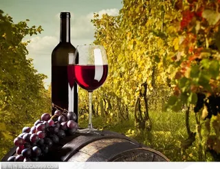 葡萄园中酒桶上的酒葡萄玻璃杯