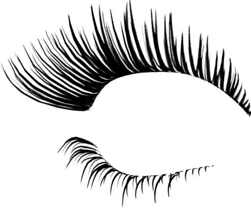 睫毛 PNG免抠(700x581)