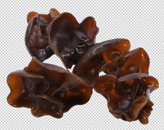 湿木耳免扣素材