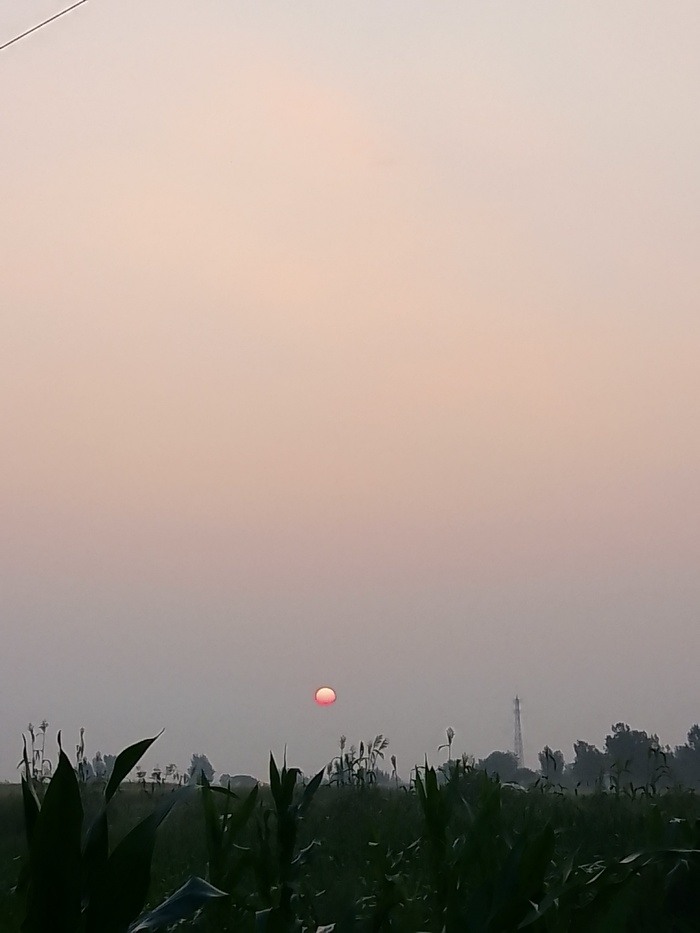 阴天的日出