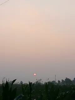 阴天的日出 阴天的日出