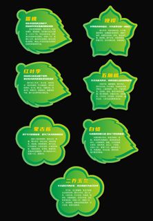  树牌树木介绍牌