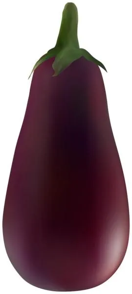 茄子 PNG免抠(270x600)