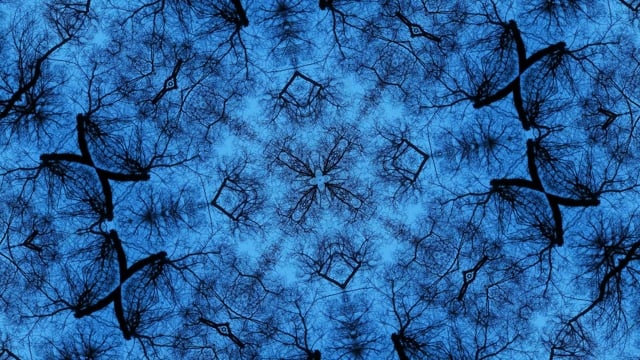 舞蹈的树, 万花筒, 模式, 饰品, 边境, 装饰饰品