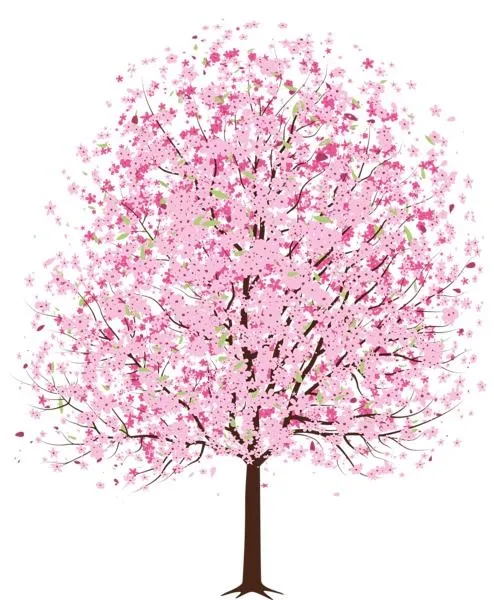 樱花 PNG免抠(494x600)