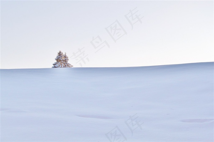 唯美意境的白雪