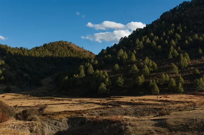 稻城旅游自然风景区山林