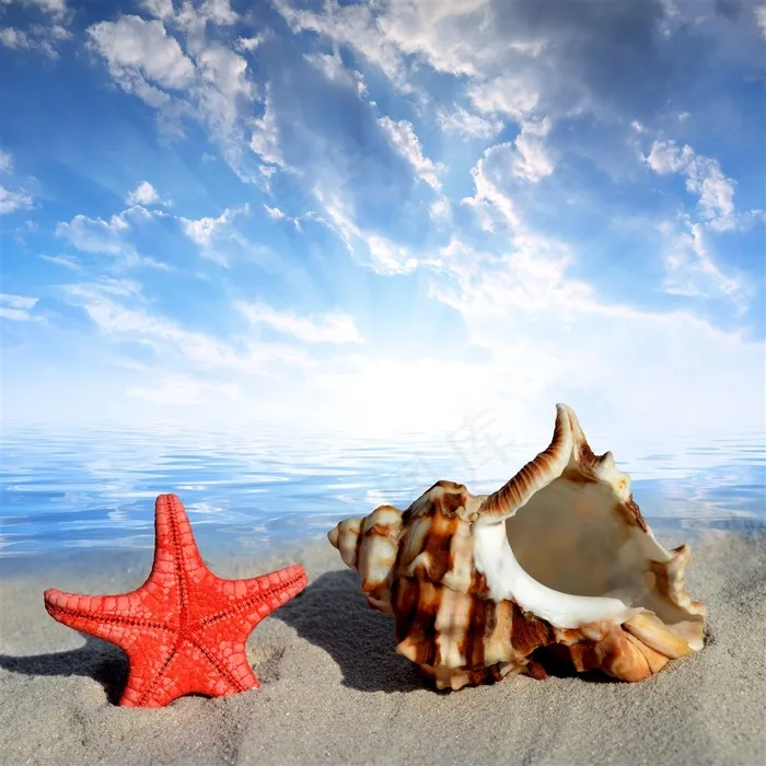 蓝天白天下的海星海螺