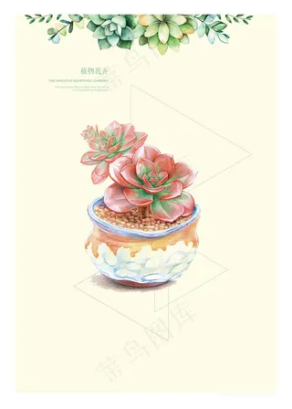植物花卉盆栽插画