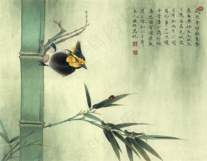 翠竹凤头雀国画花鸟