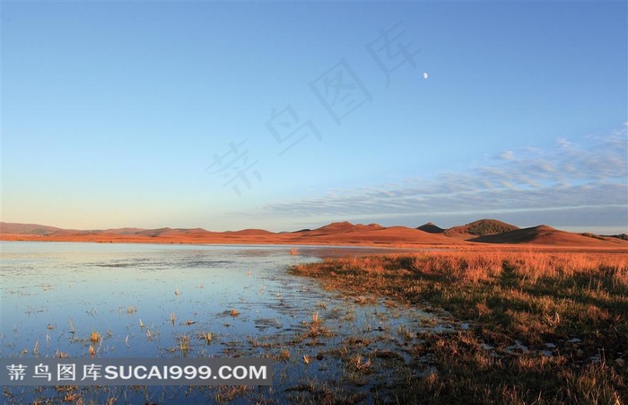 沙漠沼泽风景高清图片