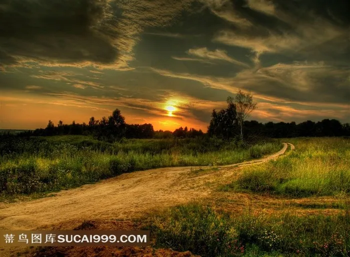 野外草地夕阳图片下载