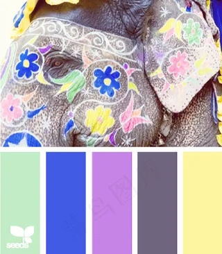 动物配色色卡色彩搭配