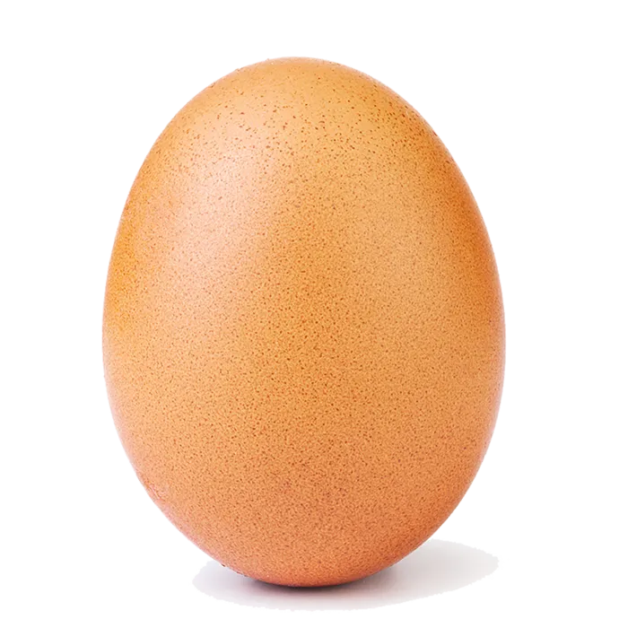 鹌鹑蛋 (超市商品白底图免抠实物摄影png格式图片透明底026