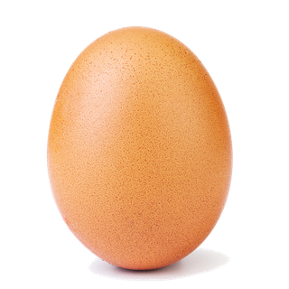 鹌鹑蛋 (超市商品白底图免抠实物摄影png格式图片透明底026