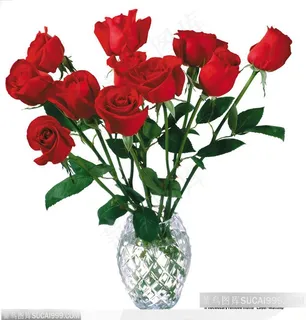 玫瑰花束-花瓶内散开的玫瑰花 玫瑰花束-花瓶内散开的玫瑰花