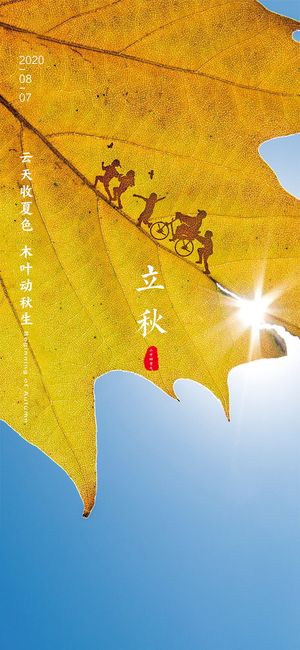 黄色简约节气立秋