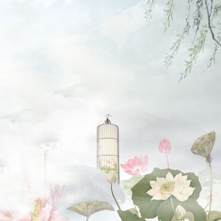 中国风荷花主图