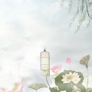 中国风荷花主图