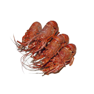 虾类(40)海鲜超市商品红酒白底图免抠实物摄影png格式图片透明底