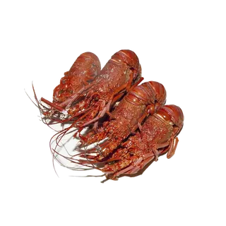 虾类(40)海鲜超市商品红酒白底图免抠实物摄影png格式图片透明底