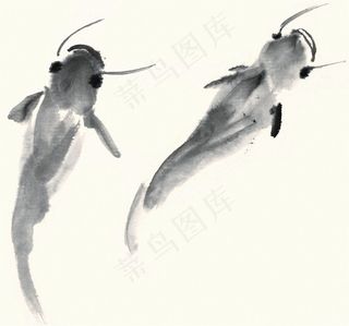 鱼虾蟹龟中国画图片素材