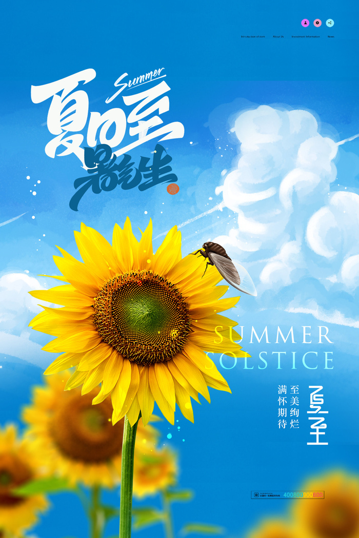 简约清新向日葵夏至节气海报