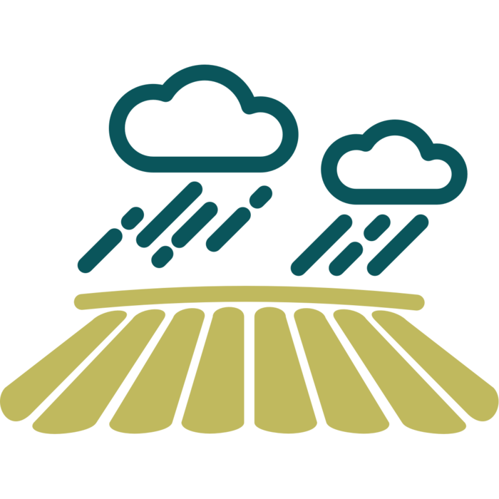 谷雨图标元素