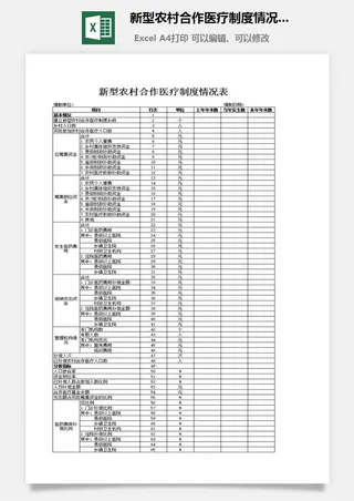 新型农村合作医疗制度情况表excel模板