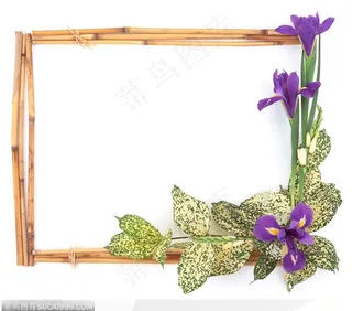 相框边框-鲜花与叶子边框