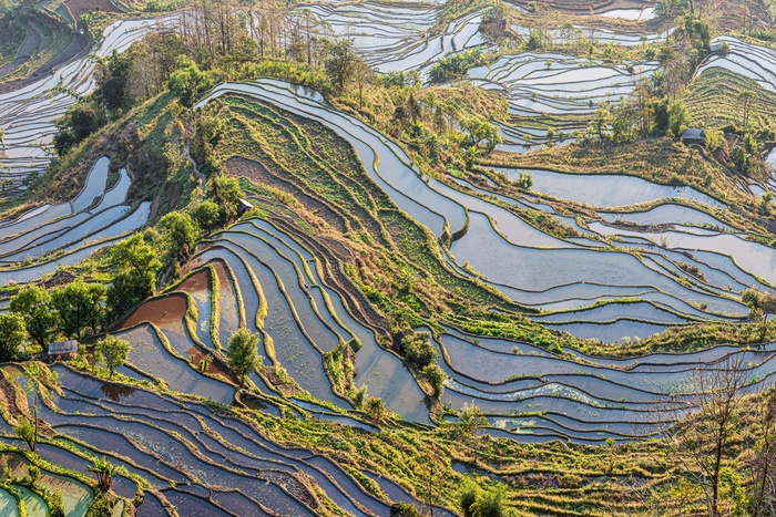 老虎嘴梯田