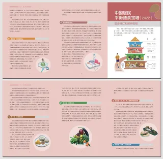 2022中国居民平衡膳食宝塔图示修订解析说明三折页