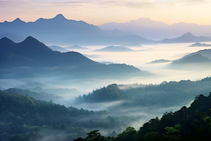 山脉树林高空摄影