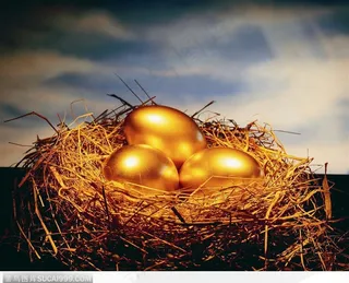 鸟巢中的黄金鸡蛋