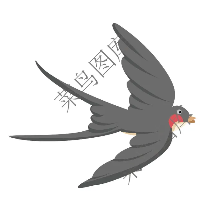 燕子高清图ai矢量模版下载