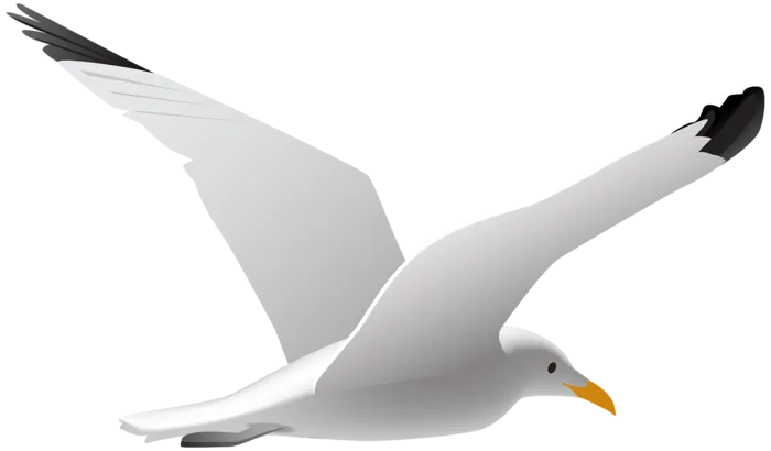 海鸥卡通剪影